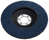 F&auml;cherschleifscheibe EcoMax &Oslash; 125 mm, ZK,...